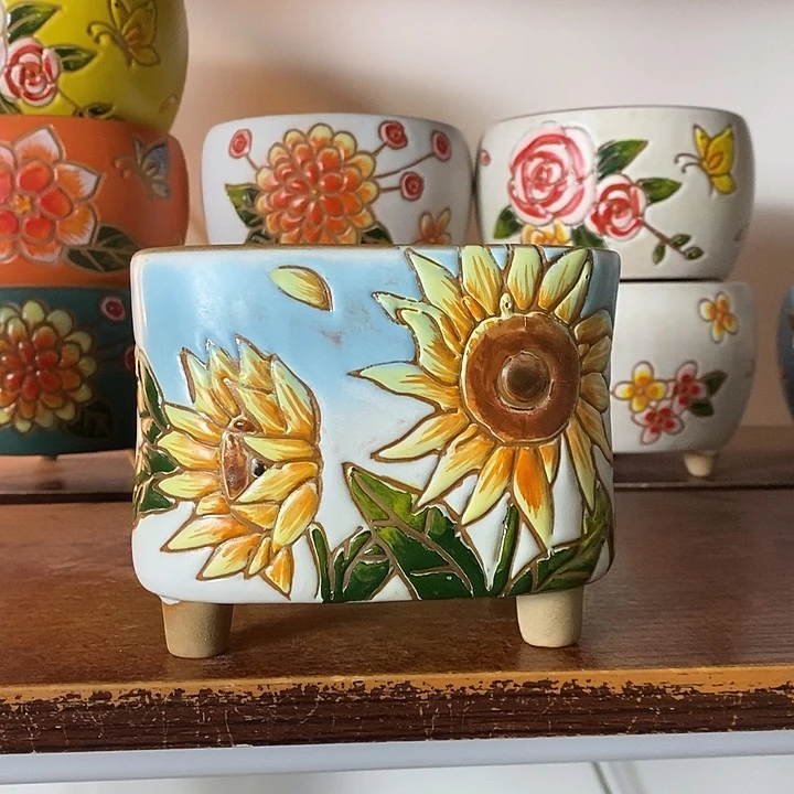 韩式多肉植物花盆