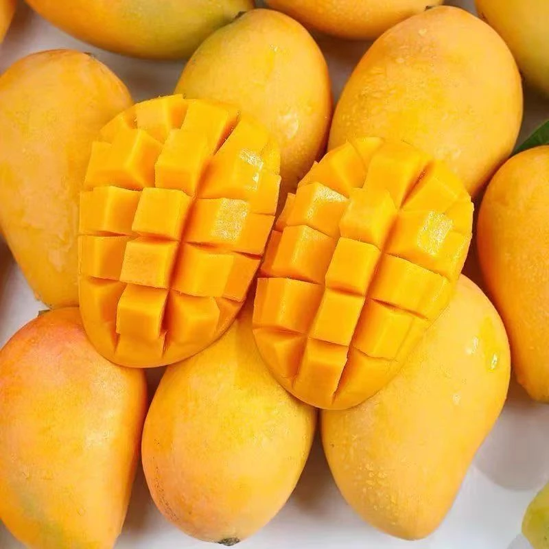 正宗云南小台农芒果当季新鲜水果超甜现摘小台芒整箱5斤