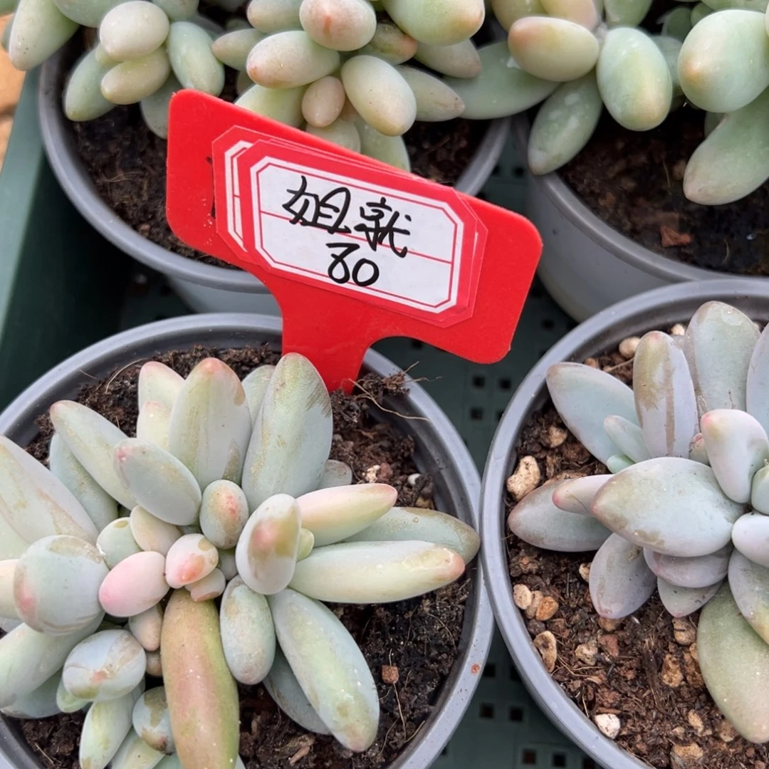 姐***福姐就80。