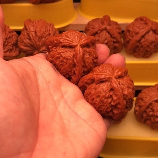 等***…核桃核桃核桃核桃核桃
