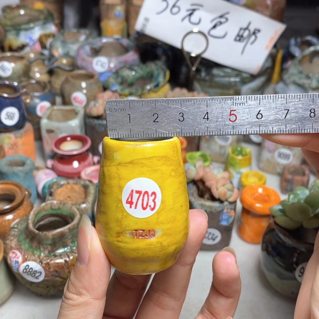 拍5送一个小礼物