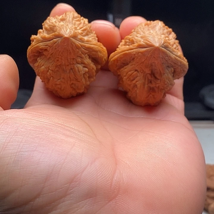 把件文玩核桃40尺大沽石鸭嘴兽