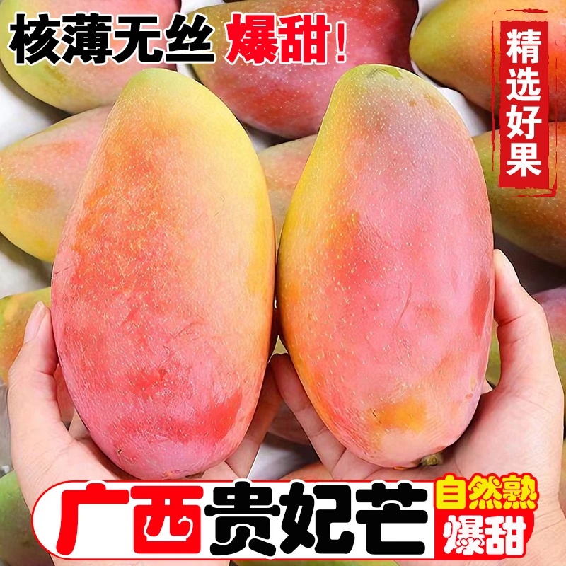 广西贵妃芒5/9斤新鲜芒果当季时令爆甜好吃产地直发现摘现发水果