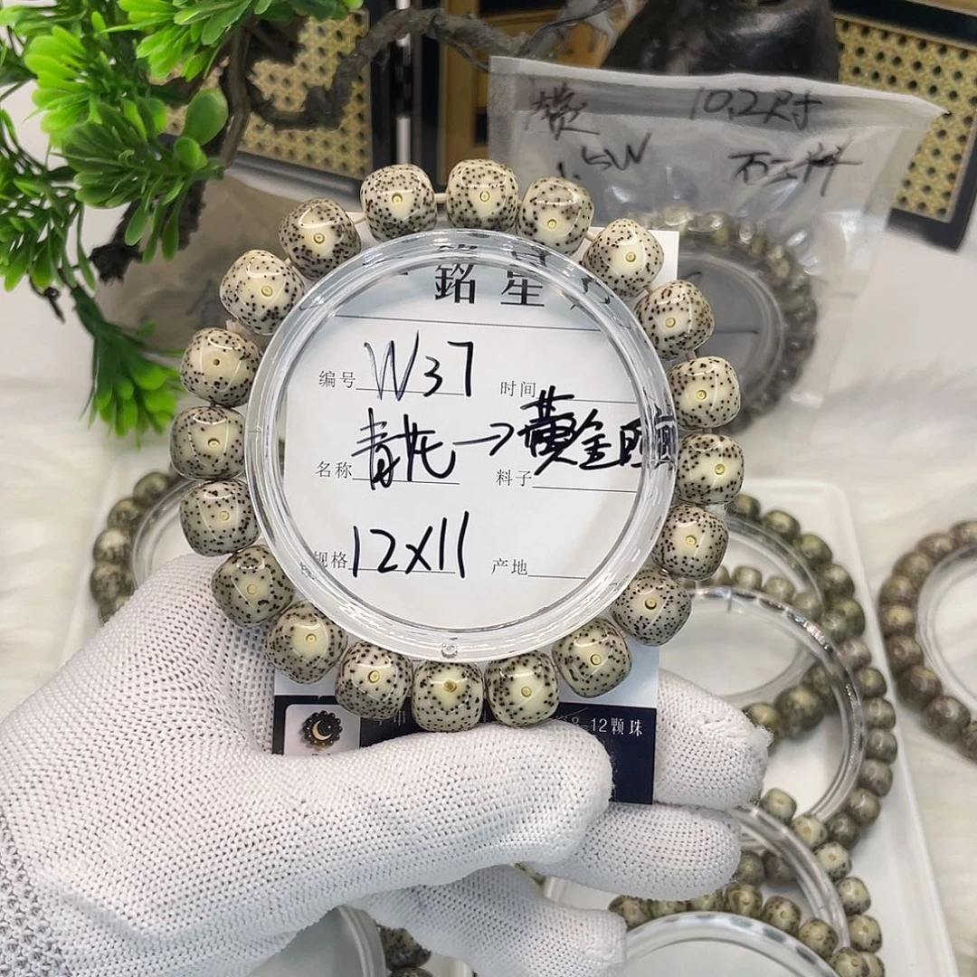 菩提籽类W37 青花 12