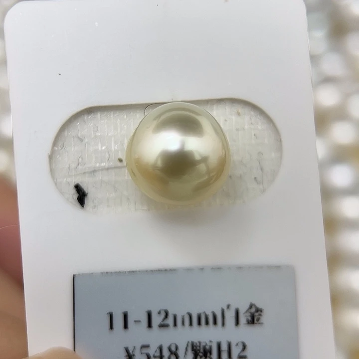颈饰未镶嵌海水珍珠10-11mm 金珠 白金H2