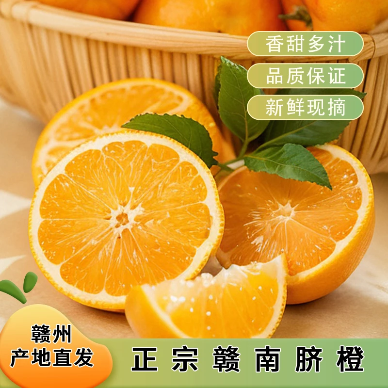 正宗信丰安西赣南果农脐橙香浓郁多汁中华园现摘现发精选特级大果