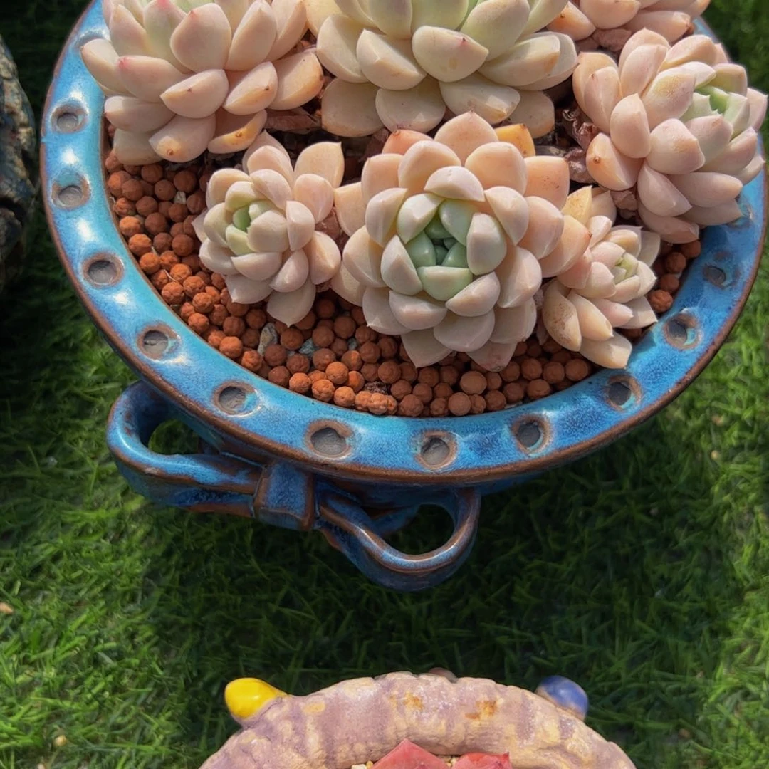 小**幺手捧花奶油美人