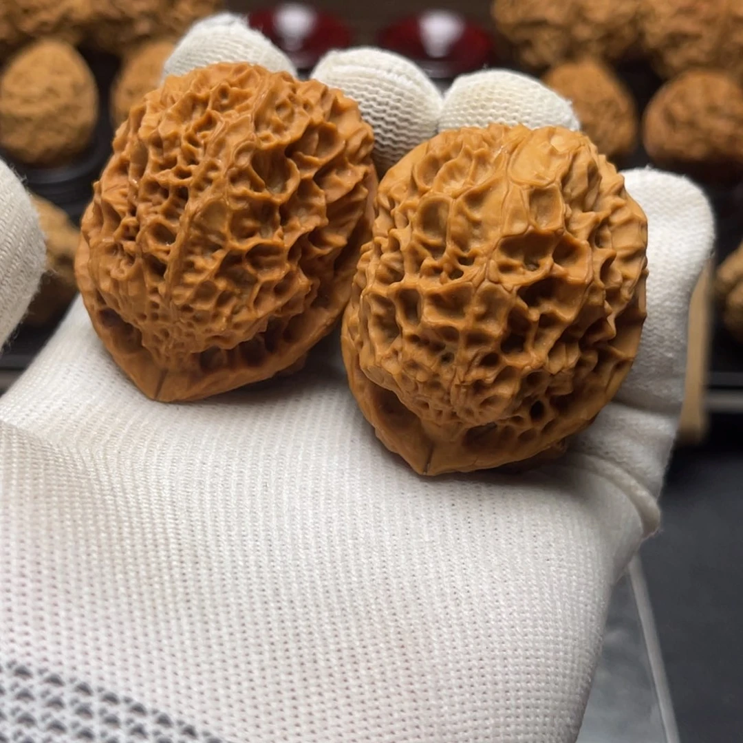 万***斯46mm麒麟绣球 一物一图