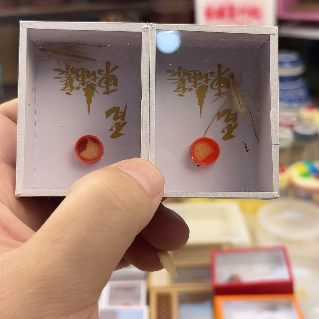 两条长须柬埔寨竹蛉