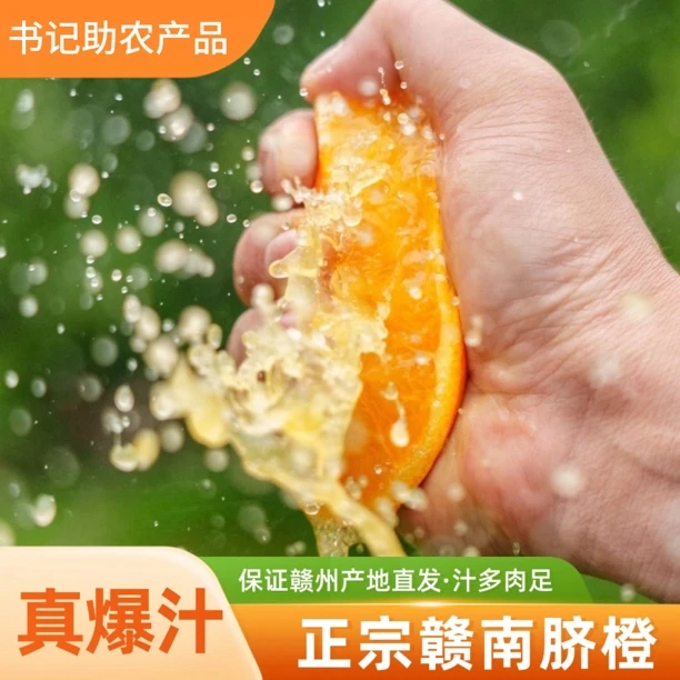 正宗赣南脐橙现摘新鲜孕妈妈应季水果香甜爆汁产地直发5斤橙子