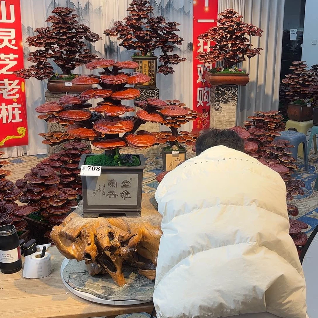 无花朵88888888888