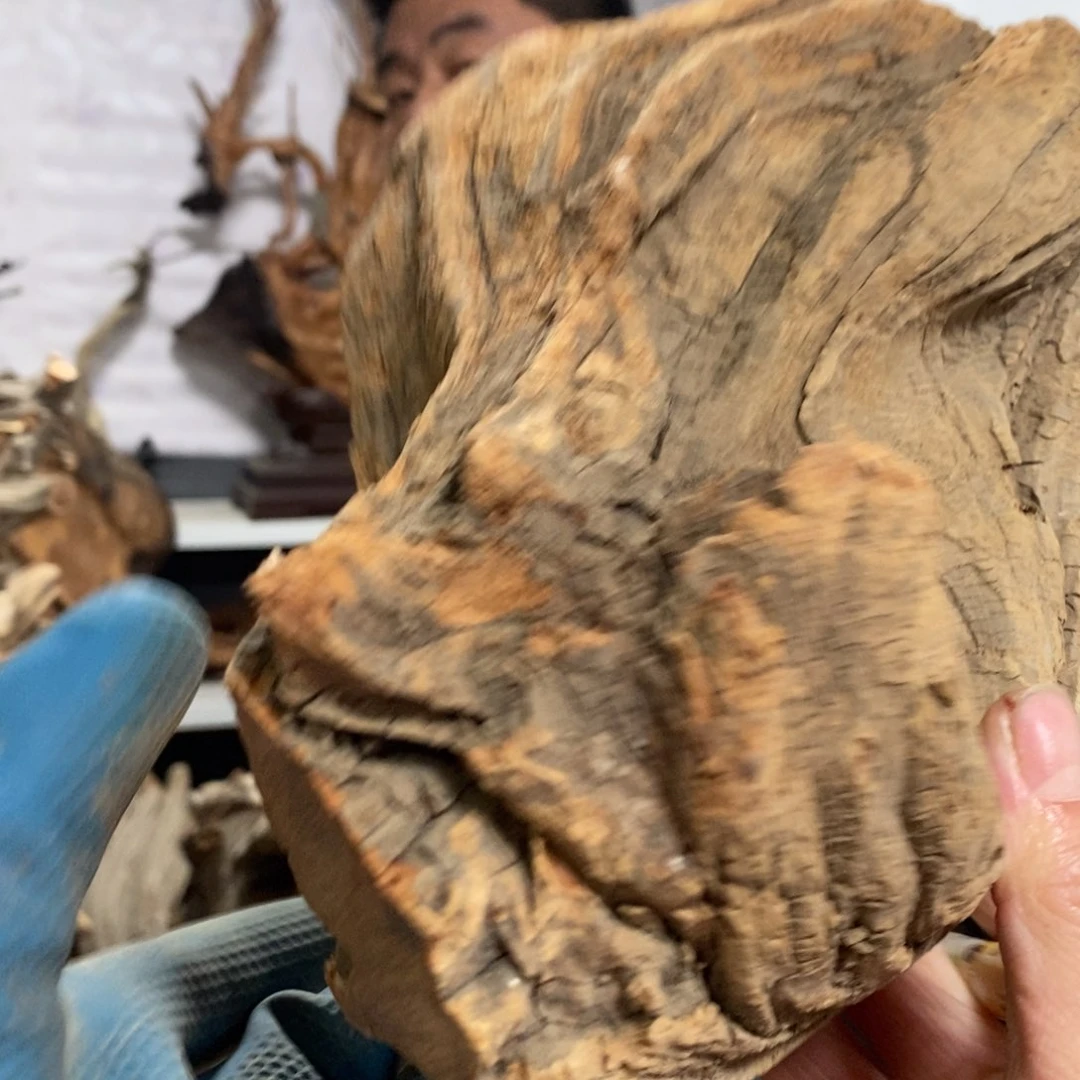 柏木小****o我们都是好孩子