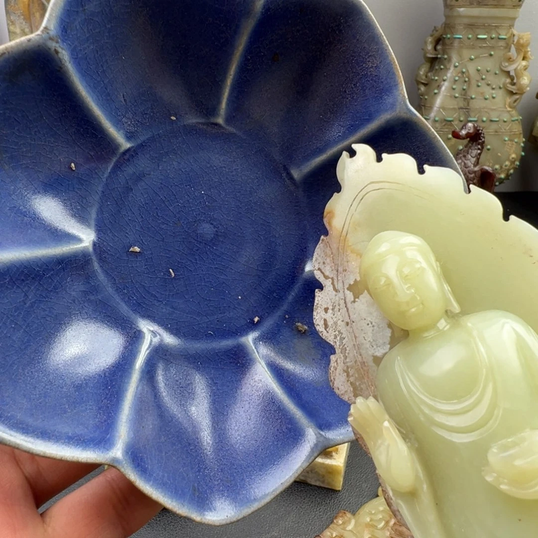 海*福利多多优惠多多福利