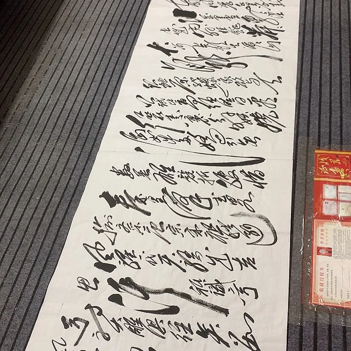 书法冯伟老师雪作品