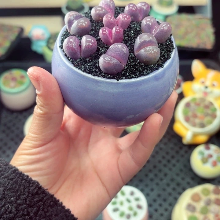 802零下地区记得拍保温箱