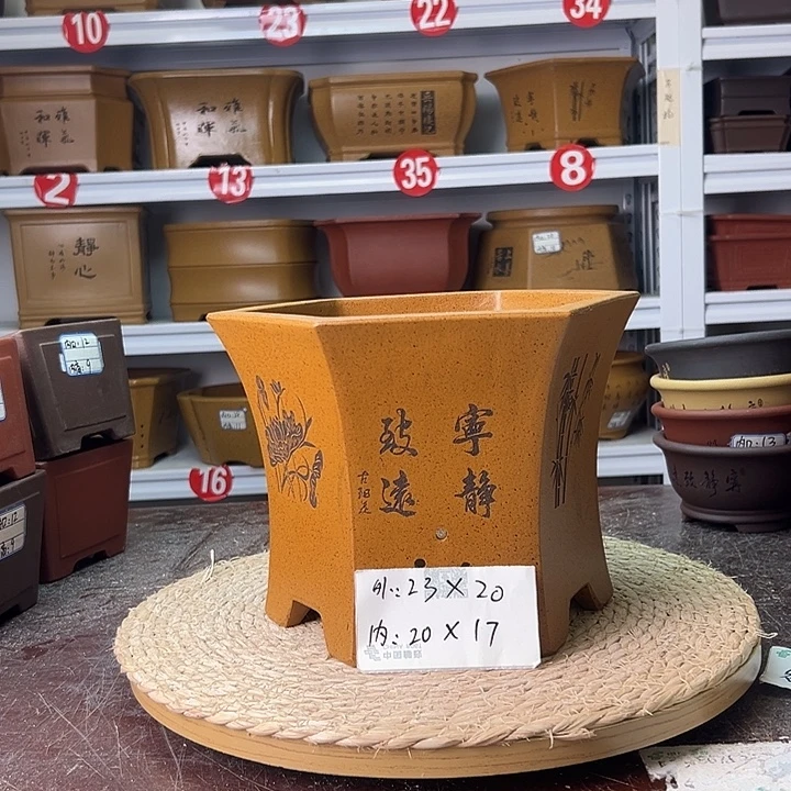 紫砂花盆蛇年大吉