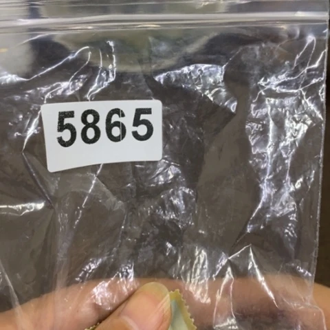 瓷片景德镇陶瓷研究所