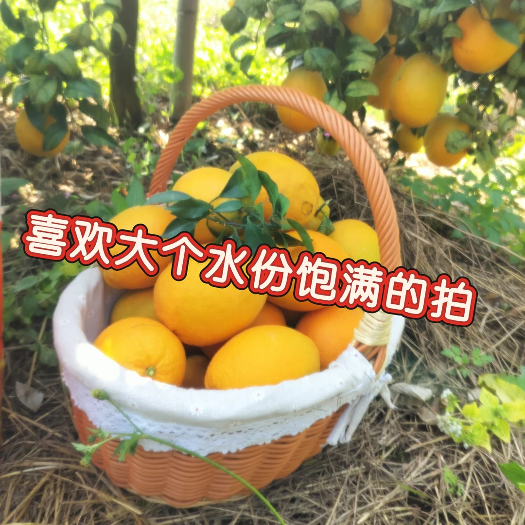 特大果90#赣南脐橙20斤爆汁橙子当季水果江西甜橙