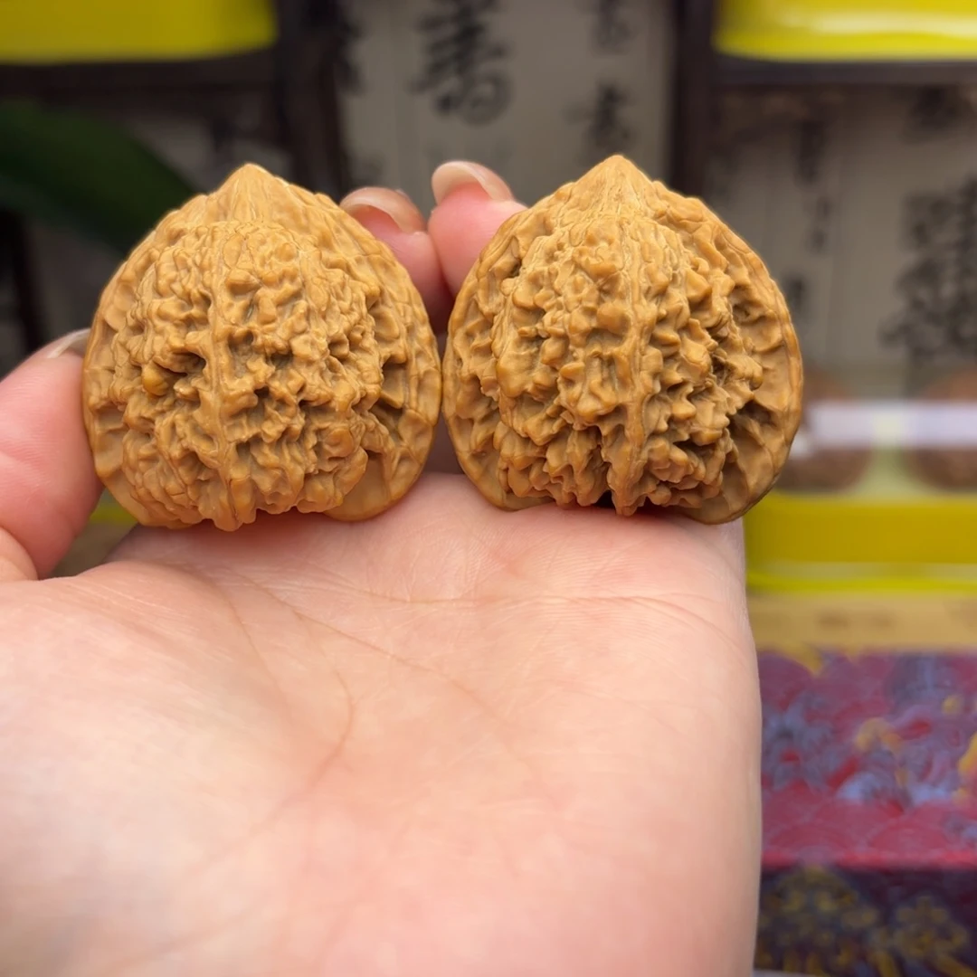 满天星狮子头四十一尺