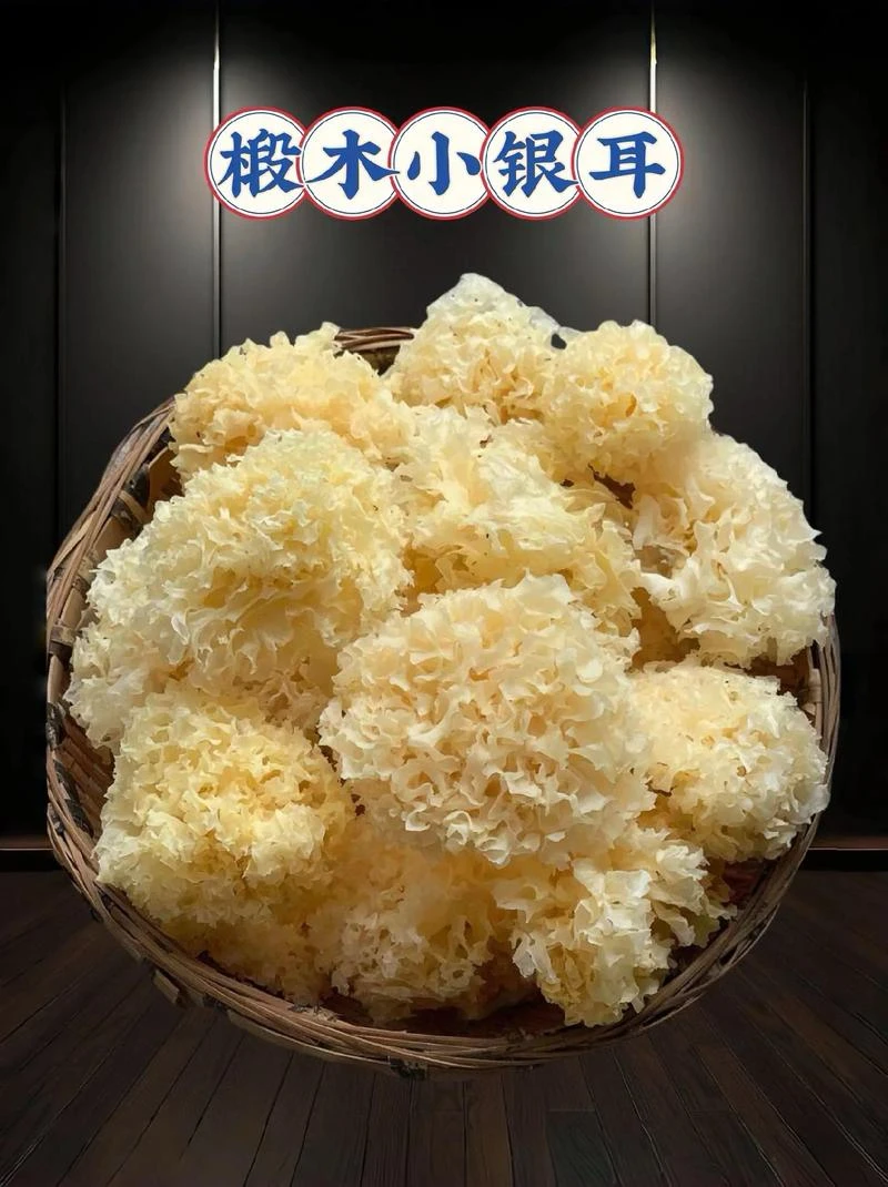 古田椴木小银耳干货甜糯多胶易出胶适合炖煮莲子羹100克