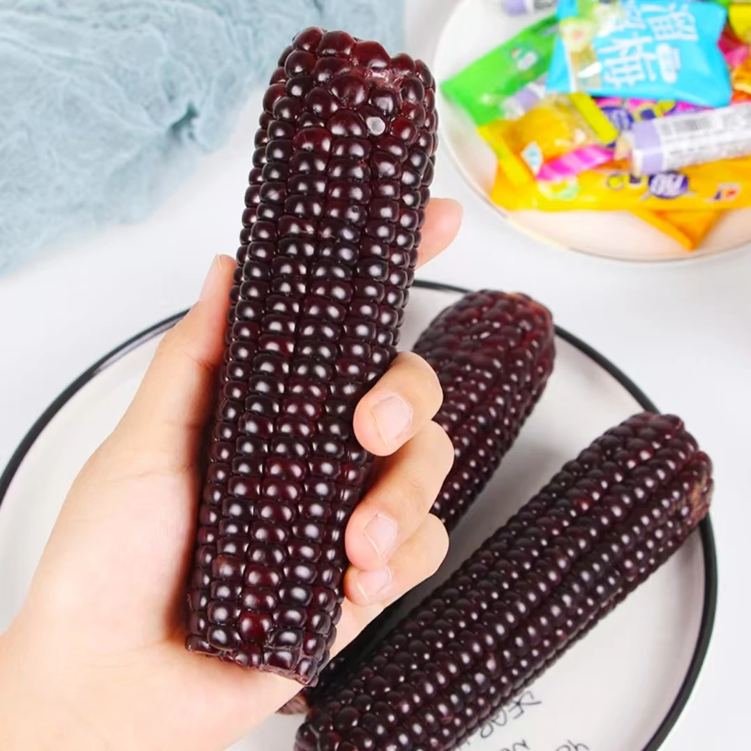 德乐圆东北玉米新鲜黑糯玉米棒真空非转基因黏粘苞米粗粮早餐玉米