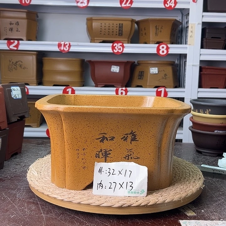 花盆紫砂蛇年大吉