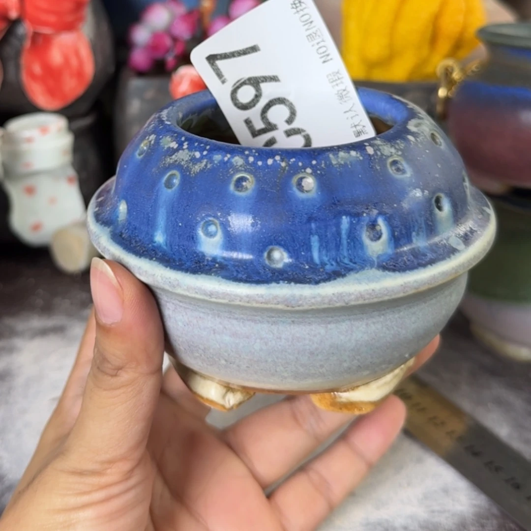重庆小燕子欢迎那家597