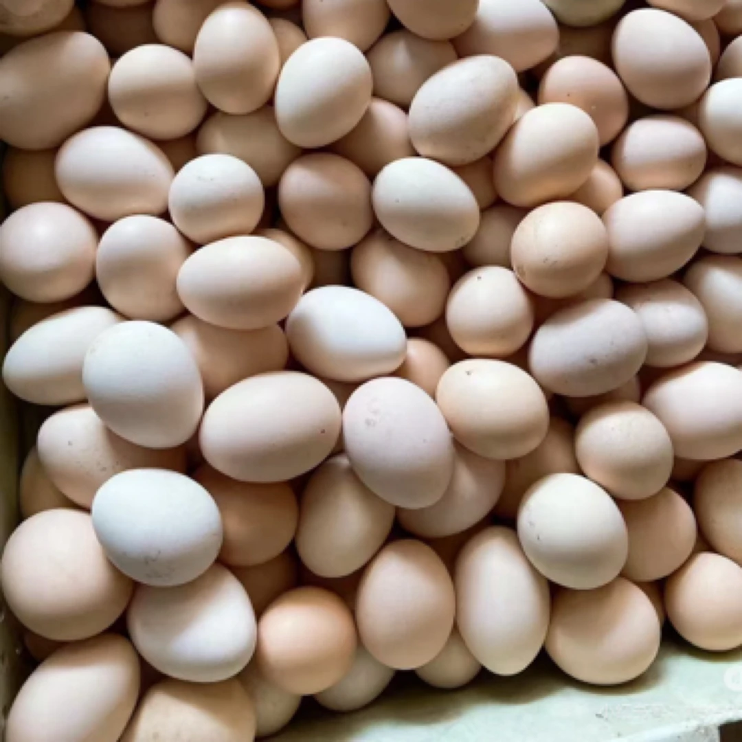 定远江淮分水岭山区现捡现发农家草鸡蛋土鸡蛋