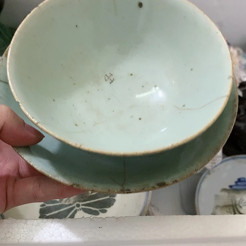 【闪购商品】没**芽噜啦啦啦啦啦啦