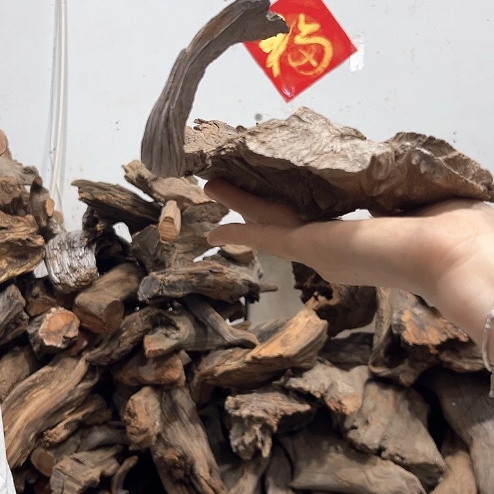 柏木暗*我们的生活也是如此的丰富