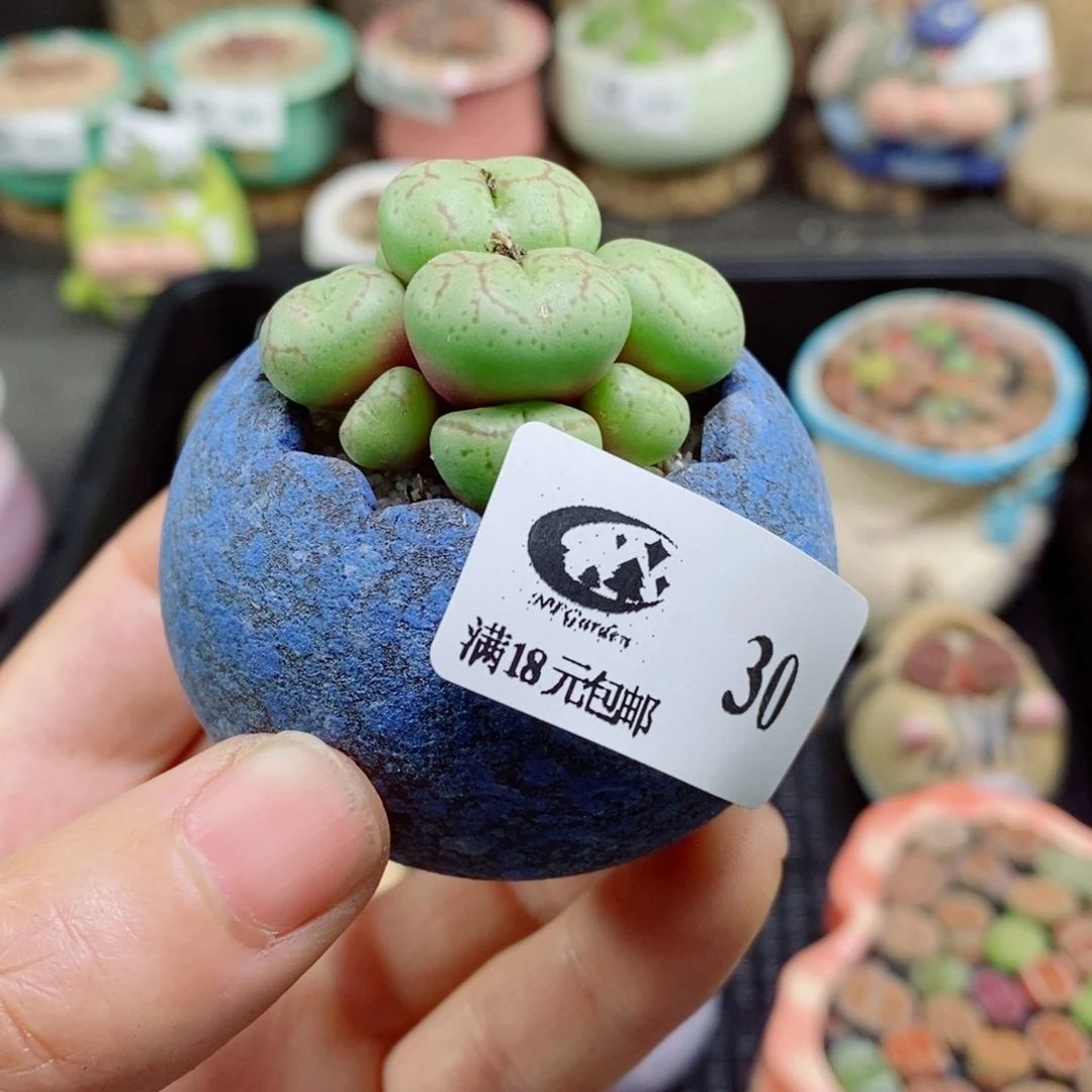 爱****?生了一天又不知道怎么回事儿30