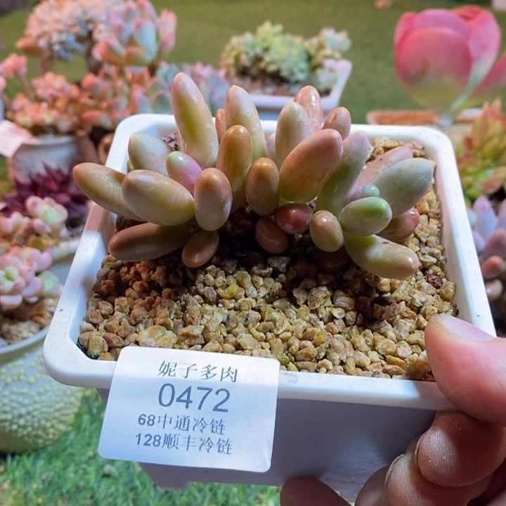 0472啊啊啊啊啊啊啊啊啊啊啊