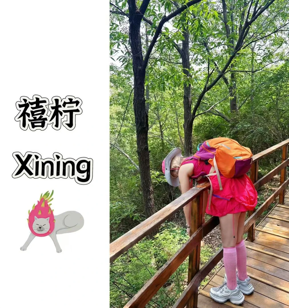 禧柠新【001-100】集合时尚休闲女装百搭显瘦