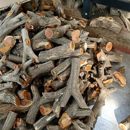 木***店香榧木崖柏原叉崖柏原叉崖柏