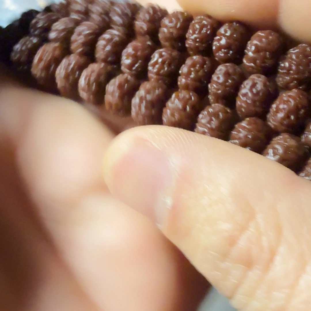 蜘***探吊坠金刚菩提勿里达老树王顶级黄匀品相