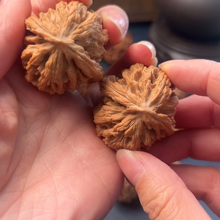 @***玖木桃的叶是我木桃