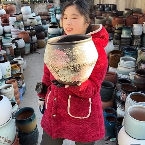 24口24高盆子盆子