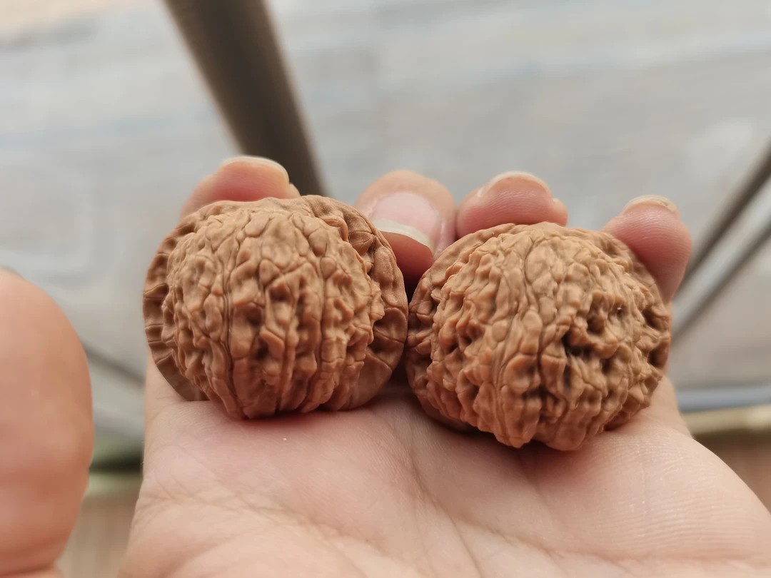 47号无修白茬龙珠狮子头核桃，尺寸跟着直播走