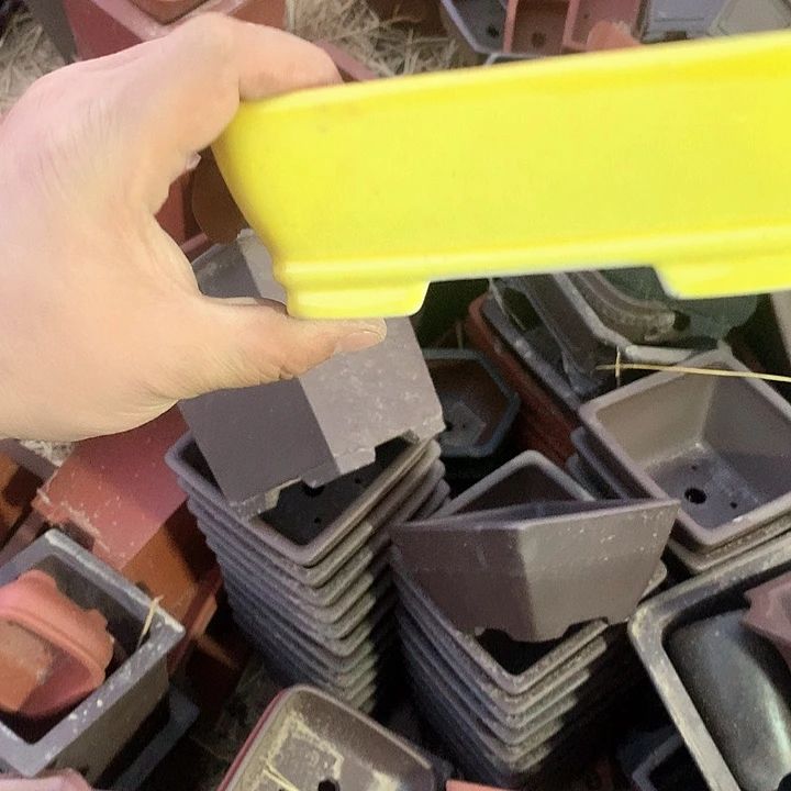 紫砂我要不就是你去