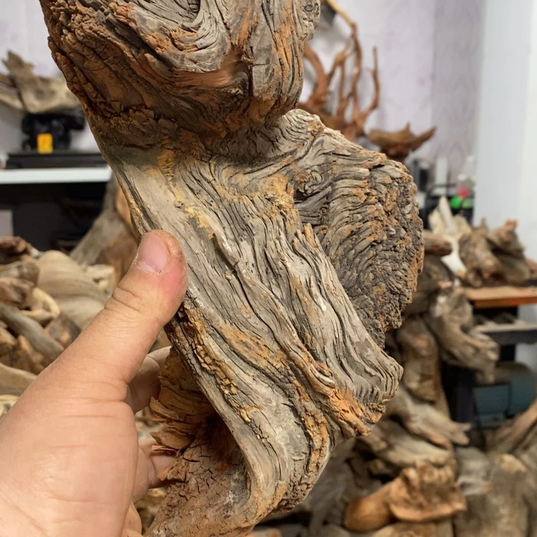 柏木素**言我们都是好孩子