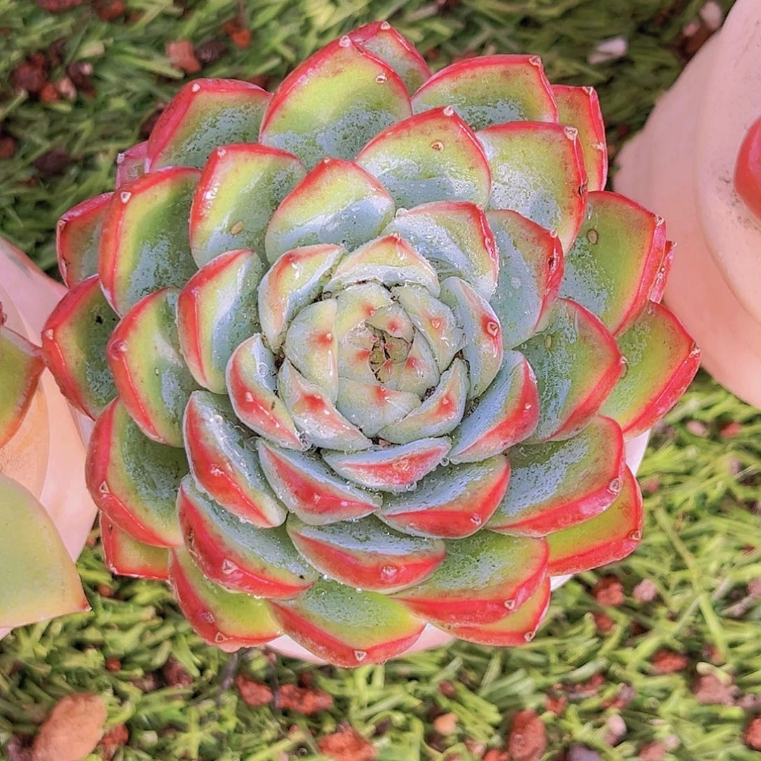 18号778999999999990