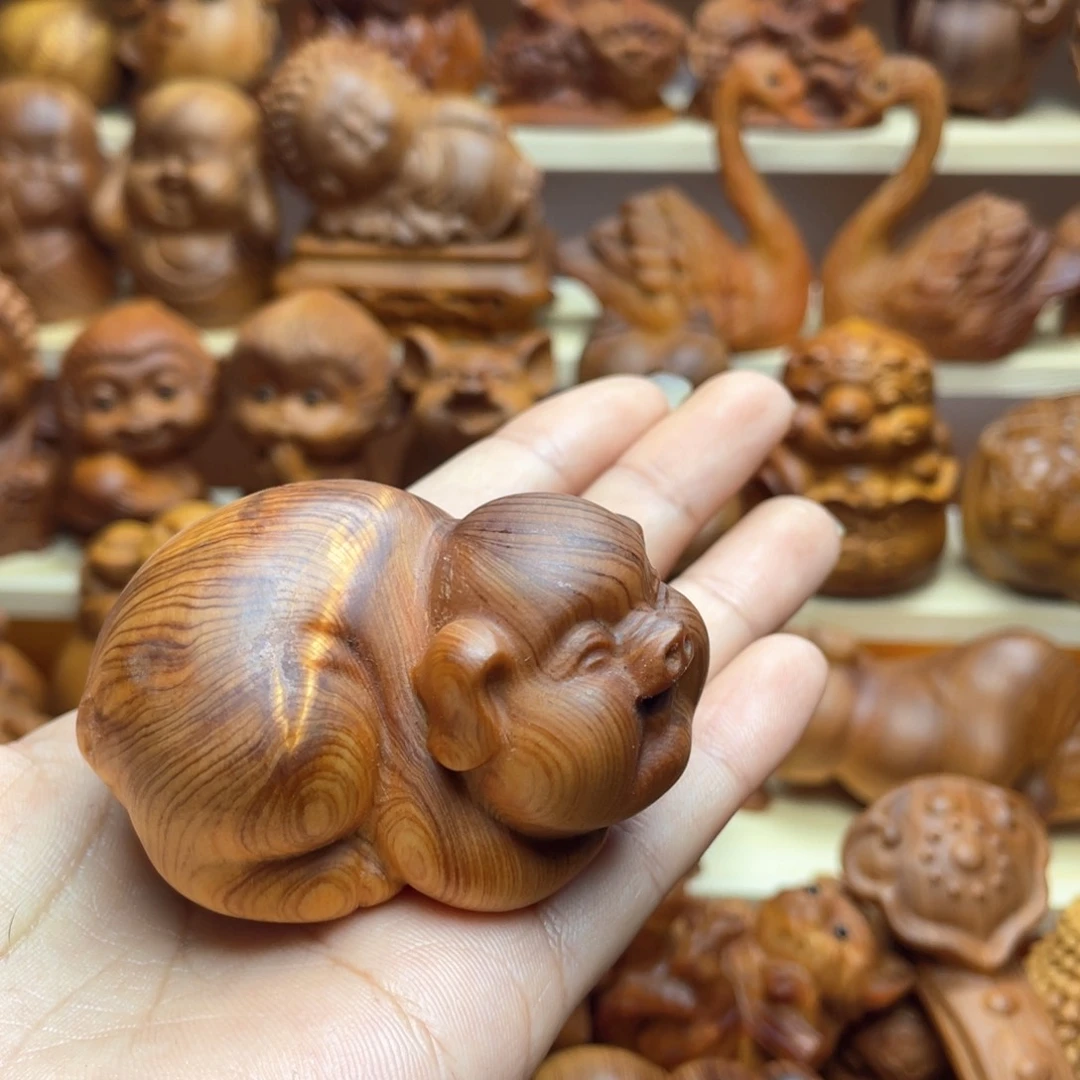 柏木（崖柏）雪崖柏，一物一拍