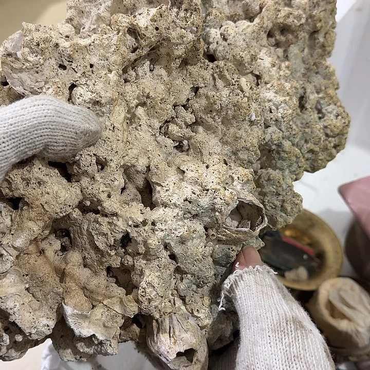 雨***藤扇子发一哥哥哥哥哈哈哈哈哈哈哈哈