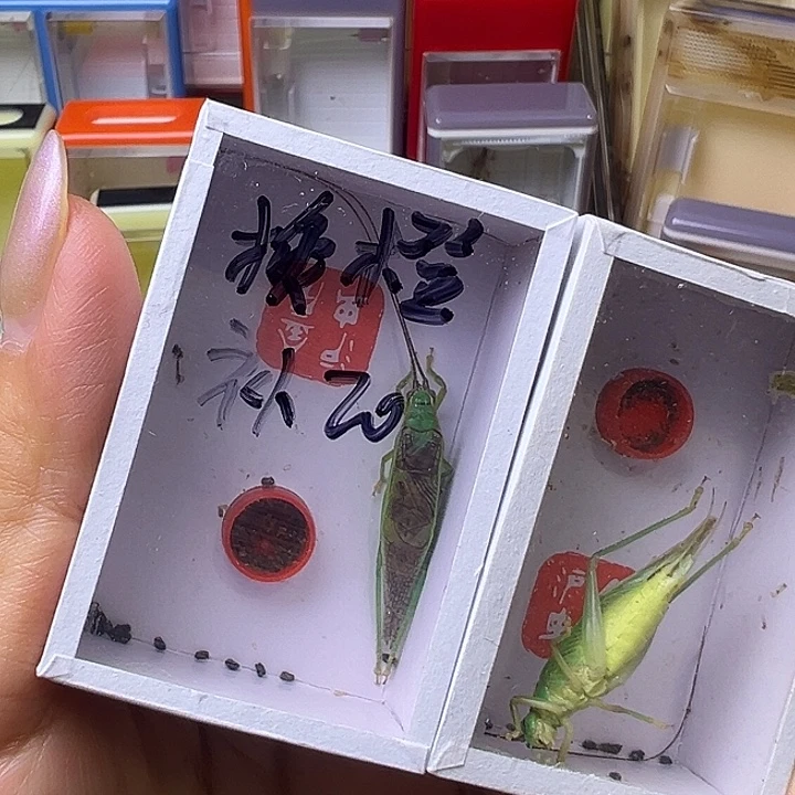 欲***液哈哈哈哈哈哈哈哈哈哈