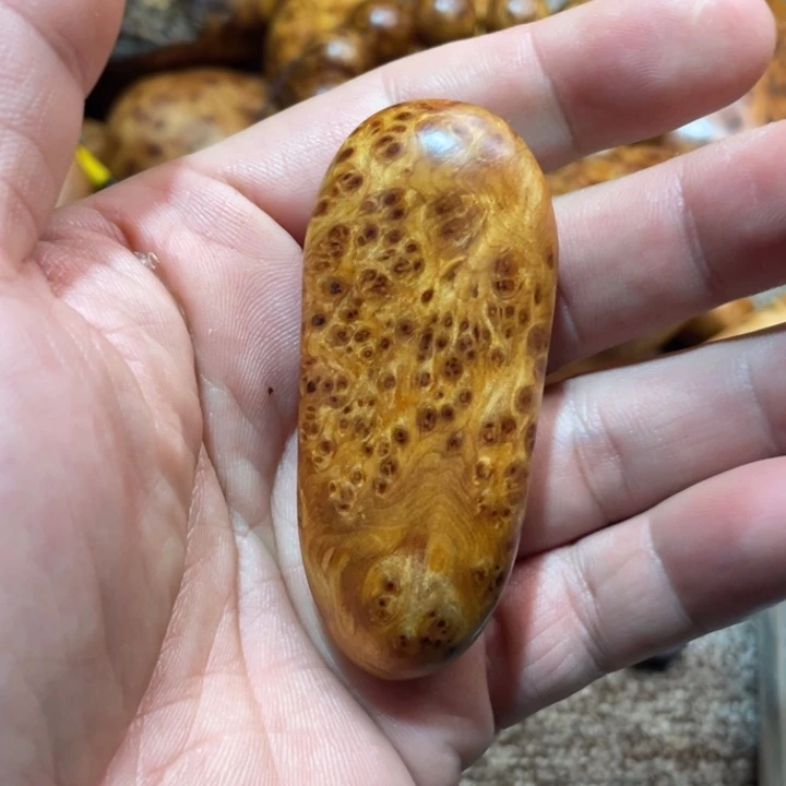 其他柏木（崖柏）把