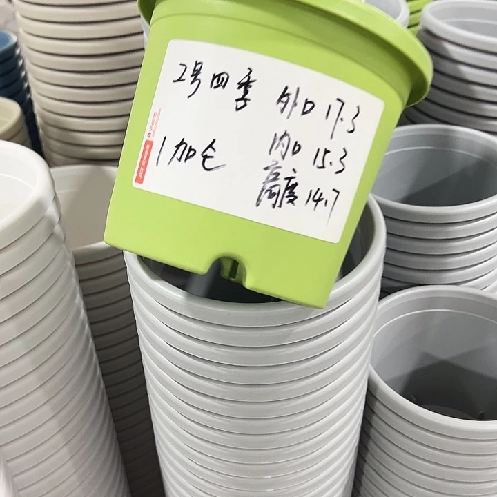 特价2号四季口17.3高14.7果绿无托10只