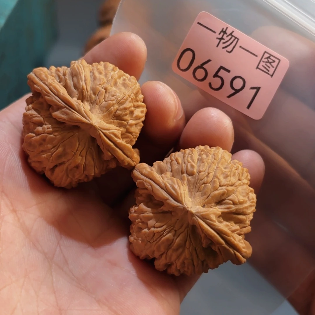 文玩核桃把件白狮子