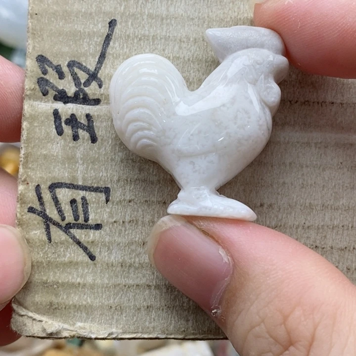硅化珊瑚（珊瑚玉）未镶嵌颈饰小*子小