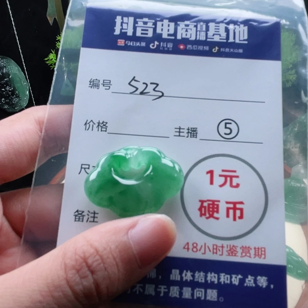 石英质玉未镶嵌颈饰