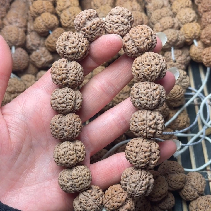 菩提尼泊尔大金刚龙牙梅花四瓣20